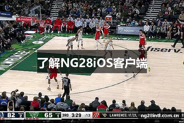 了解NG28iOS客户端